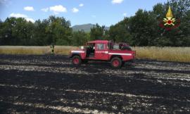 Matelica, incendio in un campo d'orzo: a fuoco due ettari di coltura