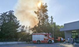 Sterpaglie in fiamme vicino al centro commerciale di Tolentino: intervengono i vigili del fuoco