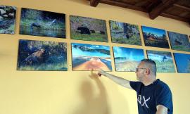 Montecosaro, "Nella terra della pietra gialla": le foto di Giandomenico in mostra al Bicchiere della Staffa