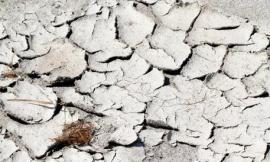 Allarme Coldiretti Marche, 30 milioni di danni all'agricoltura
