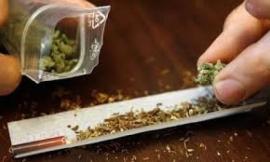 "Beccato" in auto con hashish e marijuana, arrestato ventenne