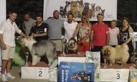 Chiusa con successo la la terza edizione del "Dog Expo" a Potenza Picena