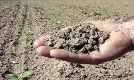 Siccità: la Regione Marche pronta a dichiarare lo stato di calamità
