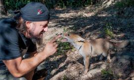 La volpe e il cavaliere: una favola dei giorni nostri, una lezione di solidarietà e amore - FOTO e VIDEO -