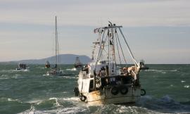 Civitanova, processione in mare: “Il Predatore” ospiterà l'urna del Santo patrono