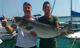 Civitanova, pescata una maxi spigola da otto chili