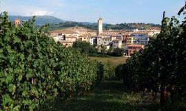Matelica Estate, ecco gli eventi della settimana