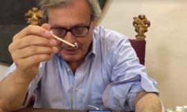Sgarbi torna ad attaccare l'amministrazione di Tolentino sulla pista davanti al Castello della Rancia  - VIDEO