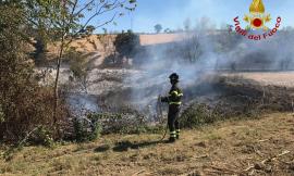 Vasto incendio di sterpaglie a Recanati: interessata un'area di 80mila metri quadrati