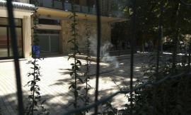 Tolentino, fumo da un tombino, intervengono i vigili del fuoco - VIDEO