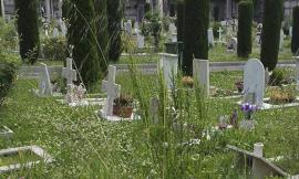 Erbacce e abbandono al cimitero, Macerata ai Maceratesi: "Il Comune trovi tempo per la manutenzione"