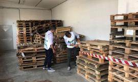 Indagine della Finanza di Civitanova: scoperta azienda di Potenza Picena che commercializzava pallet contraffatti