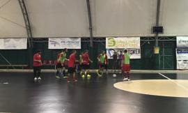 Inizia una nuova stagione sportiva per il Futsal Potenza Picena