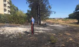 Brucia le sterpaglie nel suo terreno e provoca un incendio: nei guai 58enne di Monte San Giusto