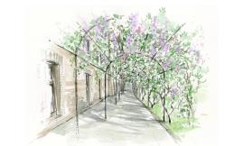 Parte il progetto di rigenerazione botanica del Colle dell’Infinito