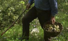 Serravalle, esce per andare a funghi: 73enne trovato morto nel bosco