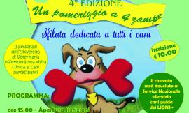 Matelica, "Un pomeriggio a quattro zampe": al via alla quarta edizione organizzata dal Lions Club