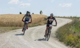 Transubike, tutto pronto per la cicloscavalcata di Treia