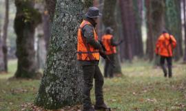 Cessapalombo, cacciatore abbatte un cinghiale e mentre lo pulisce si accoltella fortuitamente alla pancia