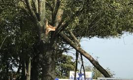 Valle Cascia, un grosso ramo finisce in mezzo alla strada a causa del vento: disagi per gli automobilisti