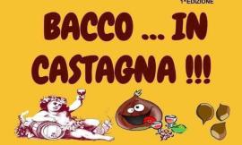Mogliano, San Martino si festeggia in piazza con "Bacco in Castagna"