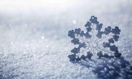 Post sisma, stabiliti criteri per erogazione dei contributi alle imprese agricole danneggiate dalle nevicate