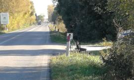Polizia locale "imboscata" sulla Regina con l'autovelox: prevenzione o solo "cassa" per i Comuni?