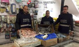 Bilancio positivo dell'operazione "Scombrus" intrapresa dalla Guardia Costiera