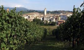 Da Londra a Matelica, i master of wine alla scoperta del Verdicchio