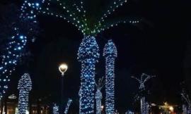 Luminarie Civitanova, Civitasvolta: "Le #pornopalme, un'operazione di marketing a costo zero"