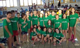Ippocampo Civitanova, una nuova vittoria "casalinga" per la squadra