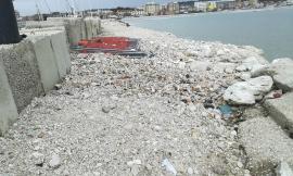Civitanova, puliti gli scogli nella zona porto: verrà installata anche un'ulteriore postazione di cassonetti differenziati