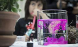 Grande successo a Macerata per la mostra-laboratorio “Gli stagnetti di Monet”
