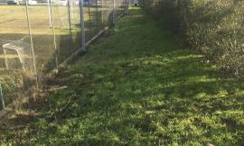 L'assessore Cognigni si esprime in merito alla pulizia di via Pisani a Fontespina