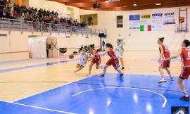 L'Infa Feba Civitanova Marche apre il 2018 contro Forlì