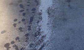 Civitanova, Cittaverde: "Abbandonata al degrado la pista ciclabile del lungomare sud"