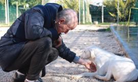 Pet therapy al canile di Civitanova Marche con i ragazzi dell’Anffas