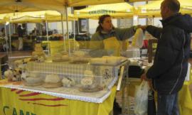 San Severino, bancarelle di campagna amica al mercato del sabato