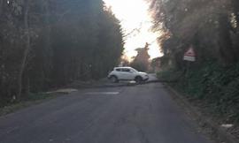 Civitanova, albero abbattuto dal vento in via Molino