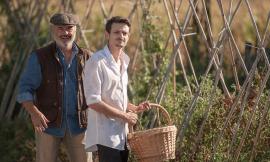 Teatri di Civitanova, al cinema il debutto di Rovazzi e del nuovo film di Virzì