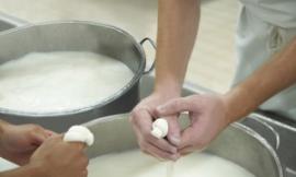Scuola Marche, ampliata l’offerta formativa: dalla danza all’enogastronomia