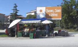Civitanova, sequestro di frutta e verdura: la condanna di un negoziante alle critiche sulle sanzioni