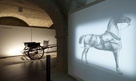 Macerata, domenica al Museo: doppio appuntamento a palazzo Buonaccorsi tra carrozze e “percorsi di rinascita”