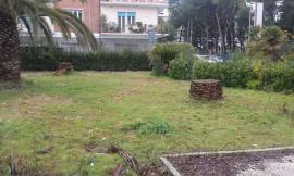 Civitanova, pulito il verde pubblico in Via Cavour: sanzionati i costruttori