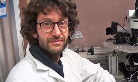 Camerino, studi Unicam per ridurre il consumo di cocaina