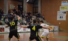 Pallamano, Playoff scudetto: seconda sconfitta per Cingoli. Bologna vince 28-23