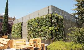 Anche Unicam nello studio sull’efficienza energetica dei giardini verticali
