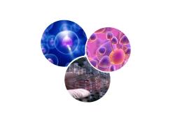 Unicam aderisce anche quest'anno ad Unistem Day