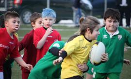 Rugby Macerata, fine settimana con "luci e ombre"