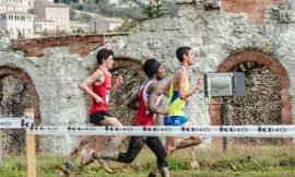 Corsa, Avis Macerata bene nella gara di Gubbio